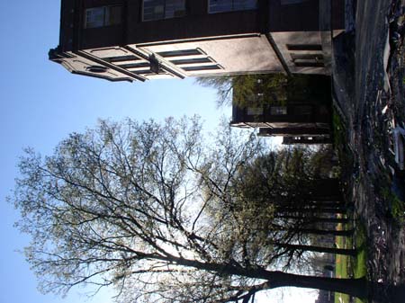 P1011129